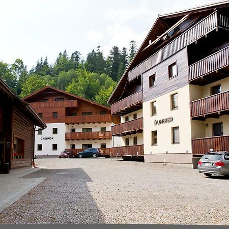Apartman Chopok Juh Anka Horna Lehota Екстер'єр фото